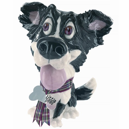 Little paws border collie gyp - paws,