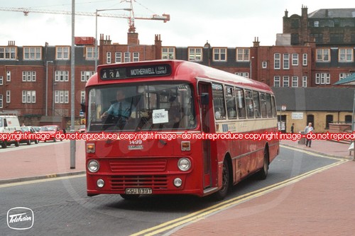 Bus photo kelvin - bus,