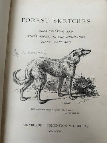 Forest sketches deer - forest, stalking