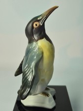 Karl Ens PENGUIN Looking Up