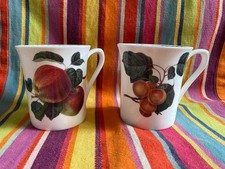 Sets Vintage Mug Queen's Horticultural Society Art by Hookers Fruit Mug