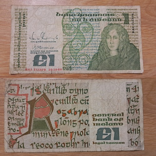 Irish banknote 1988year - irish,