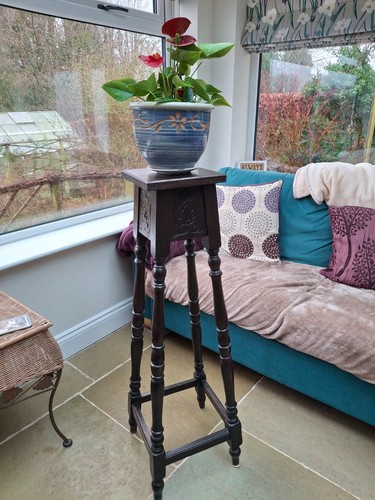 Vintage tall dark oak plant - vintage,