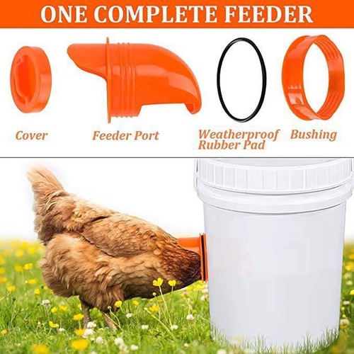 Automatic gravity chicken - automatic,