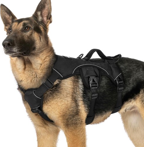 Rabbitgoo dog harness - rabbitgoo,