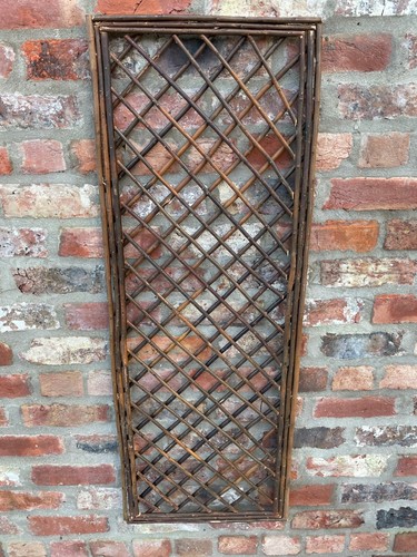 Willow garden trellis plant - trellis,
