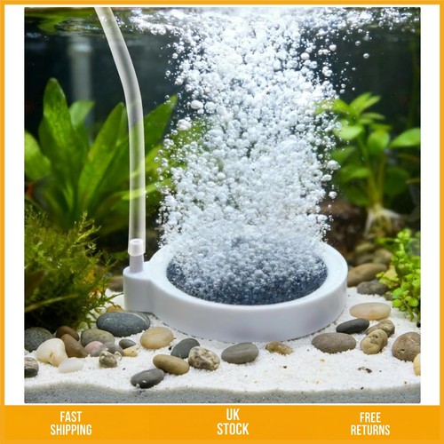 Quiet nano aquarium - quiet, air