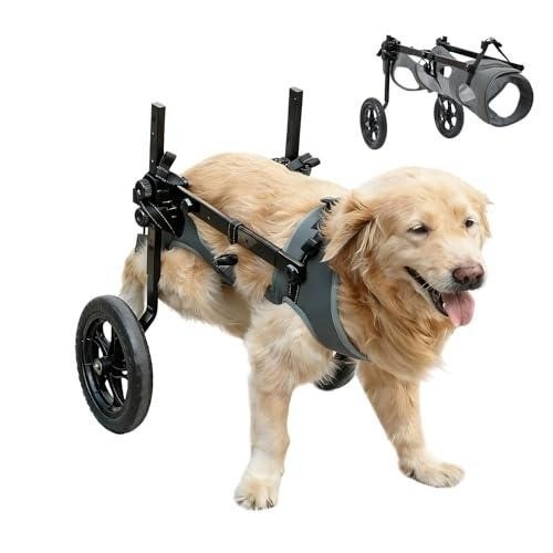 Dog wheelchair rear - rear, legs