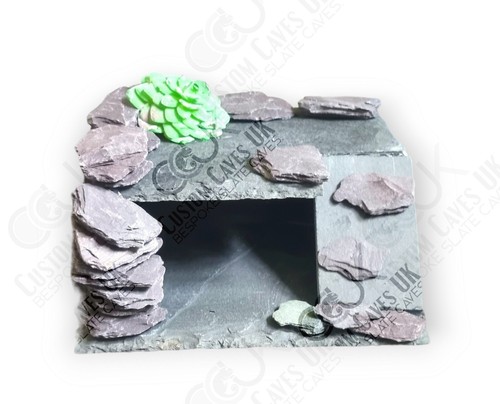 Leopard gecko slate hide and - leopard,