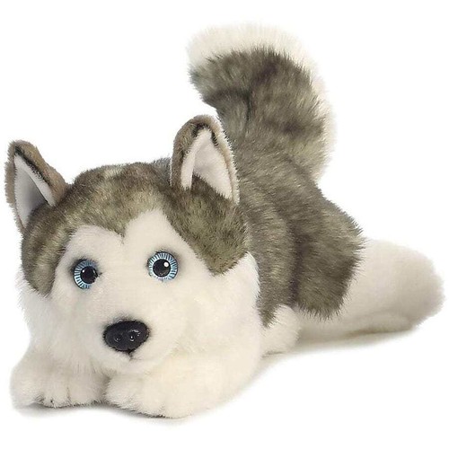 Aurora miyoni husky lying - aurora,