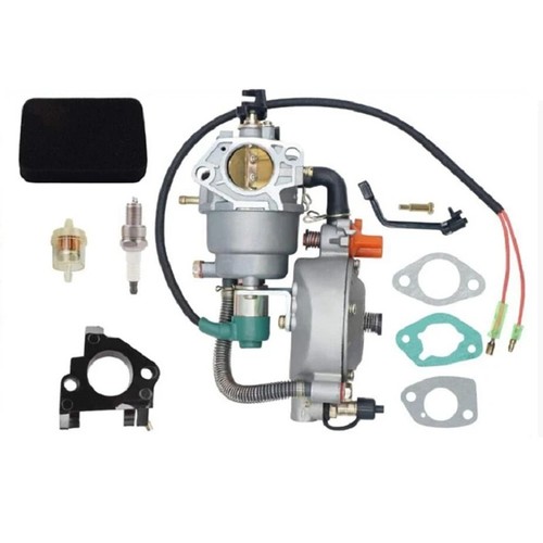 Dual fuel lpg conversion - dual,