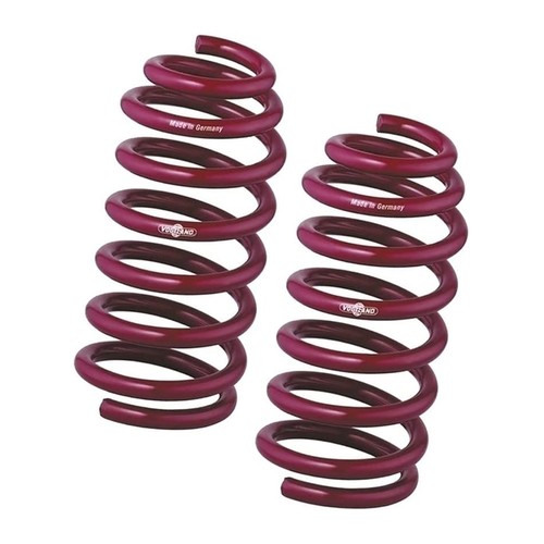 Vogtland lowering spring kit