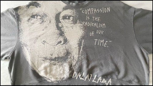 Magnolia pearl dalai lama - dalai,