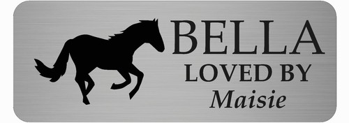 Personalised stable door - stable, sign