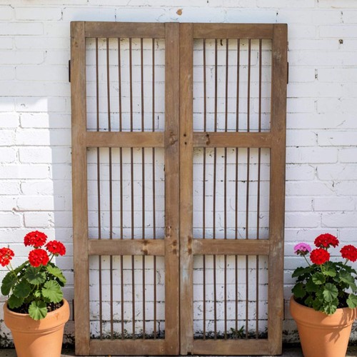 Free delivery pair - free,