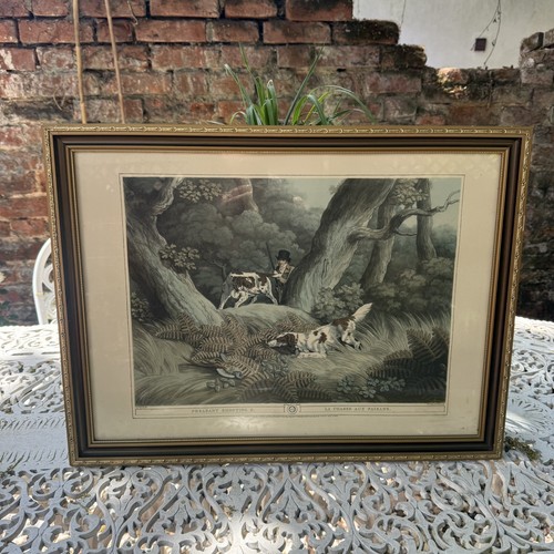 Large vintage framed pheasant - ,