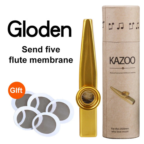 Metal kazoo set with flute - kazoo,