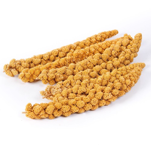 Wild bird millet spray - millet, bulk