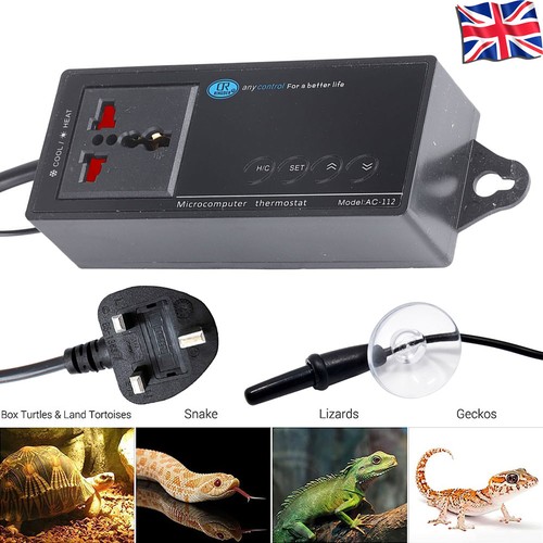 For lizard digital reptile - for,