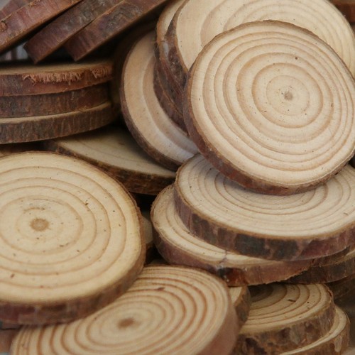 Wood slices for crafting - , |