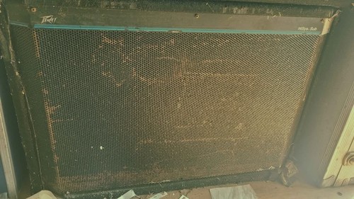 Peavey hisys 15 - xt, 2