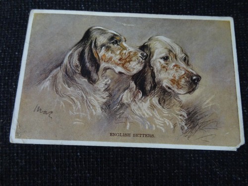 Artist signed mac - signed,