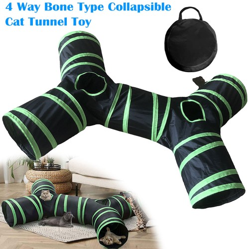 Cat funny tunnel bone - funny,