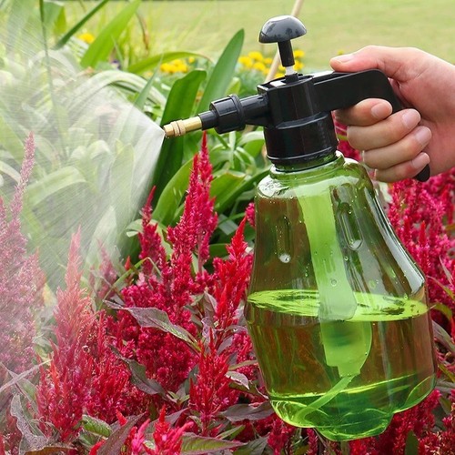Garden pressure sprayer - pressure,