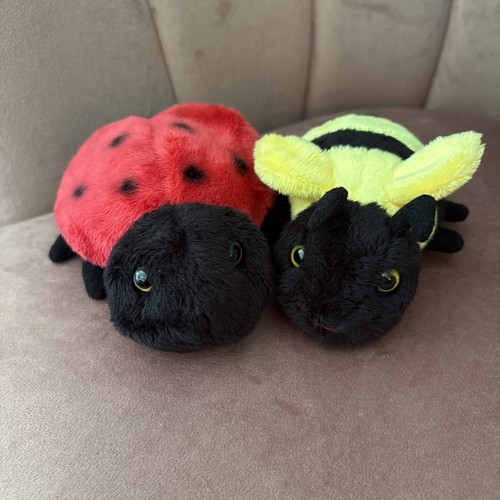 National trust ladybird - ladybird, and