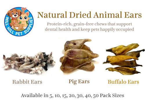 Rabbit buffalo pig ears a - pig,