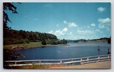 Postcard Beavertail and Head
