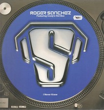 Roger Sanchez – I Never Knew