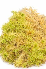 Sphagnum Moss Live 2L - 100%