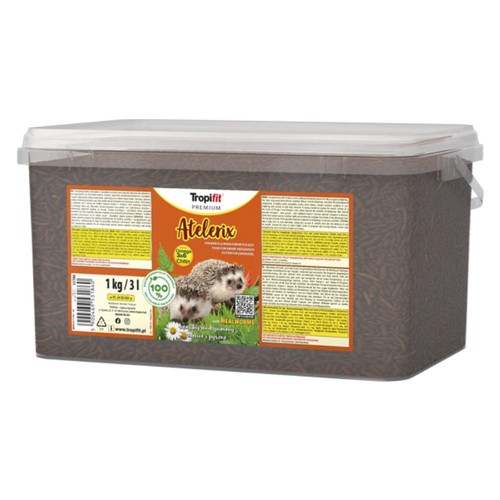 African pygmy hedgehog food - african,