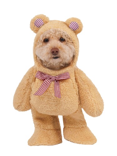 Walking teddy bear - teddy, fancy