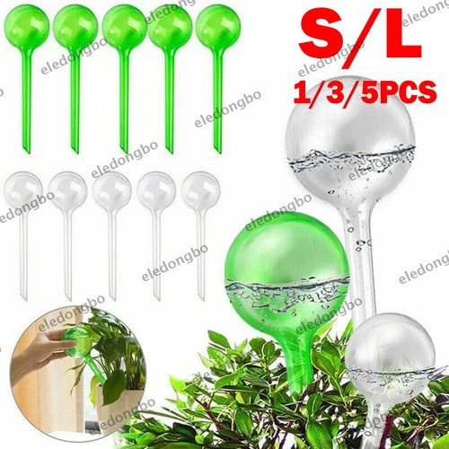 Plant self watering - plant, bulb