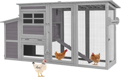 Chicken coop with - chicken,
