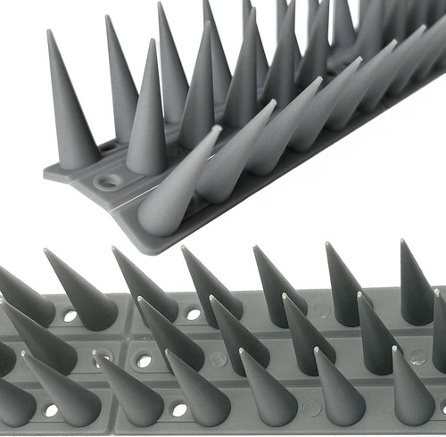 Bird spikes for pigeon - 50, m
