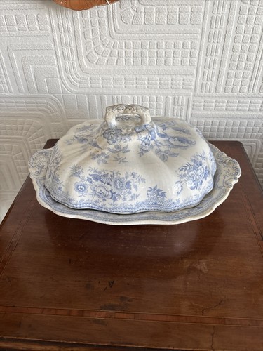Antique asiatic pheasants blue - asiatic,