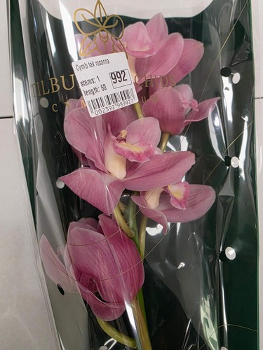 Farm fresh orchid - farm, orchid/cymbidium