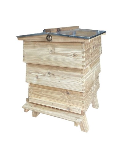 Wbc national hive - wbc,