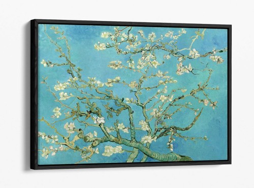Vincent van gogh almond - vincent,