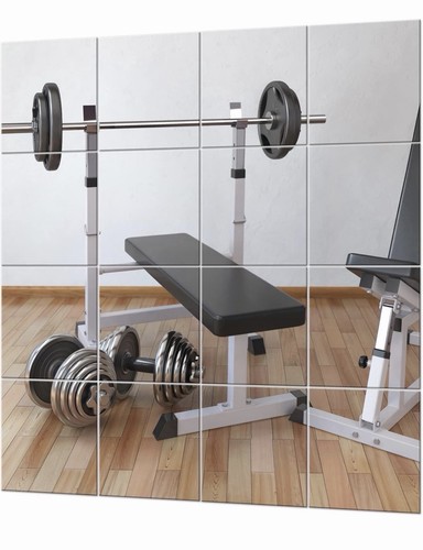 Evenlive gym mirrors for - evenlive®,