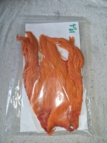 Hen cape fly - cape,fly, tying