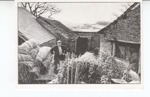 Postcard repro beaford - b:, repro.