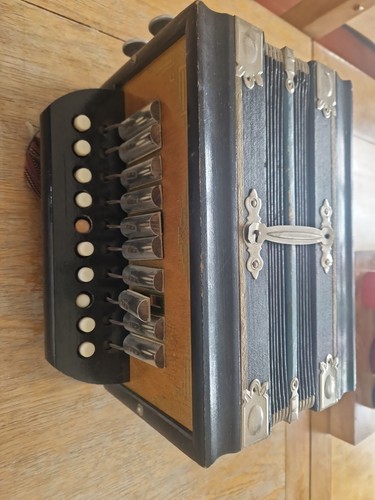 Vintage squeezebox accordian - vintage,