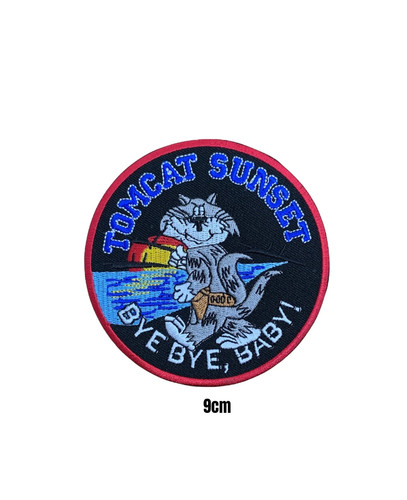 F14 grumman tomcat fighters - grumman,