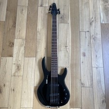 Hohner Professional B Bass V