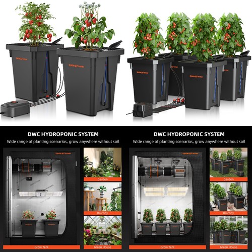 Spider farmer dwc hydroponic - dwc,