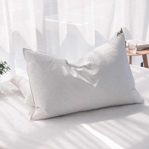 X30 queen goose down - 20"x30",